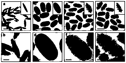 Method for synthesizing high-dispersity magnetic nano ellipsoid