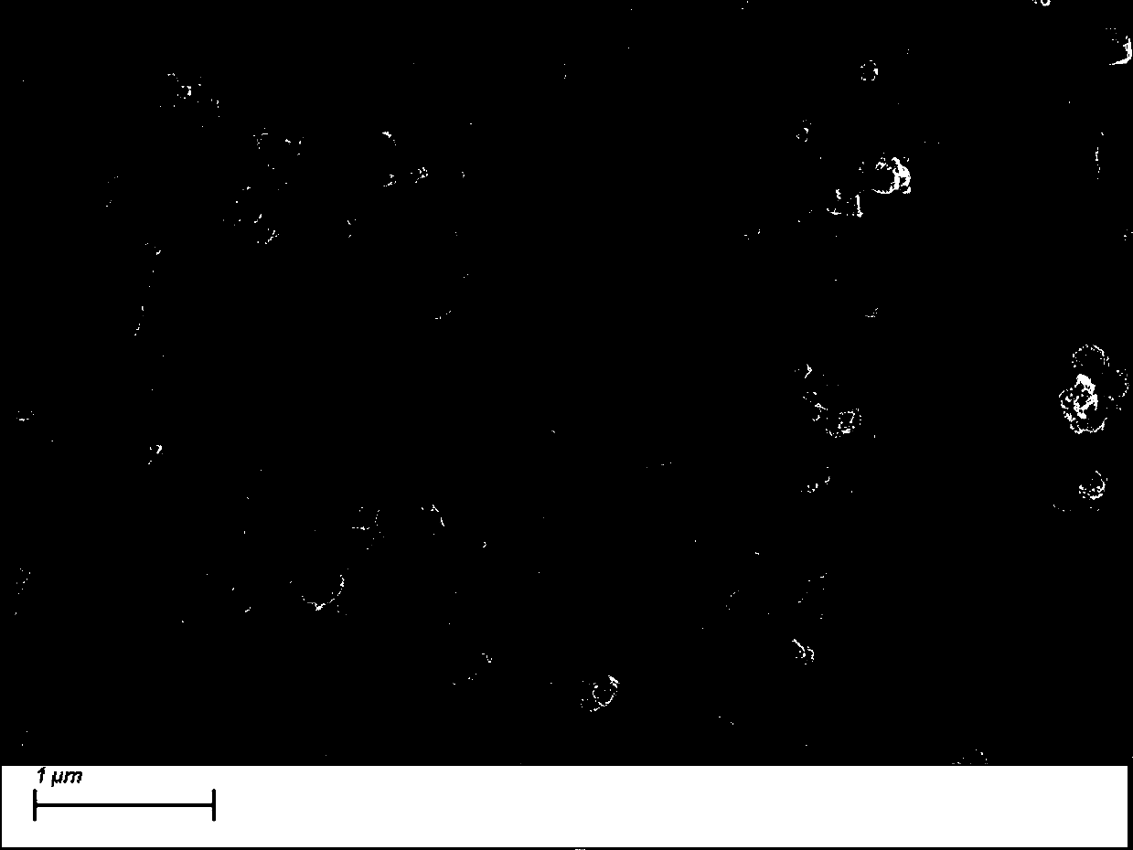 Preparation method and application of magnetic biomass charcoal material