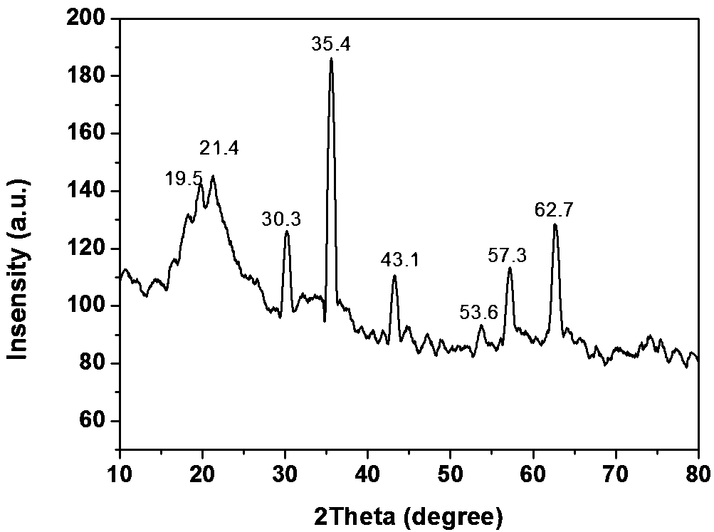 Preparation method and application of magnetic biomass charcoal material