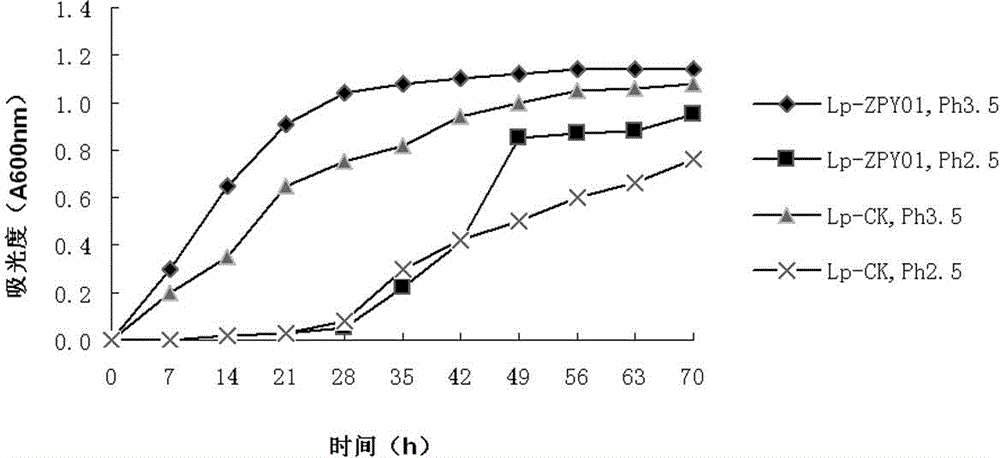 Health care product or medicine containing lactobacillus paracasei