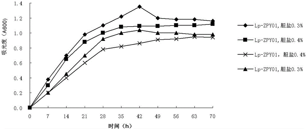 Health care product or medicine containing lactobacillus paracasei