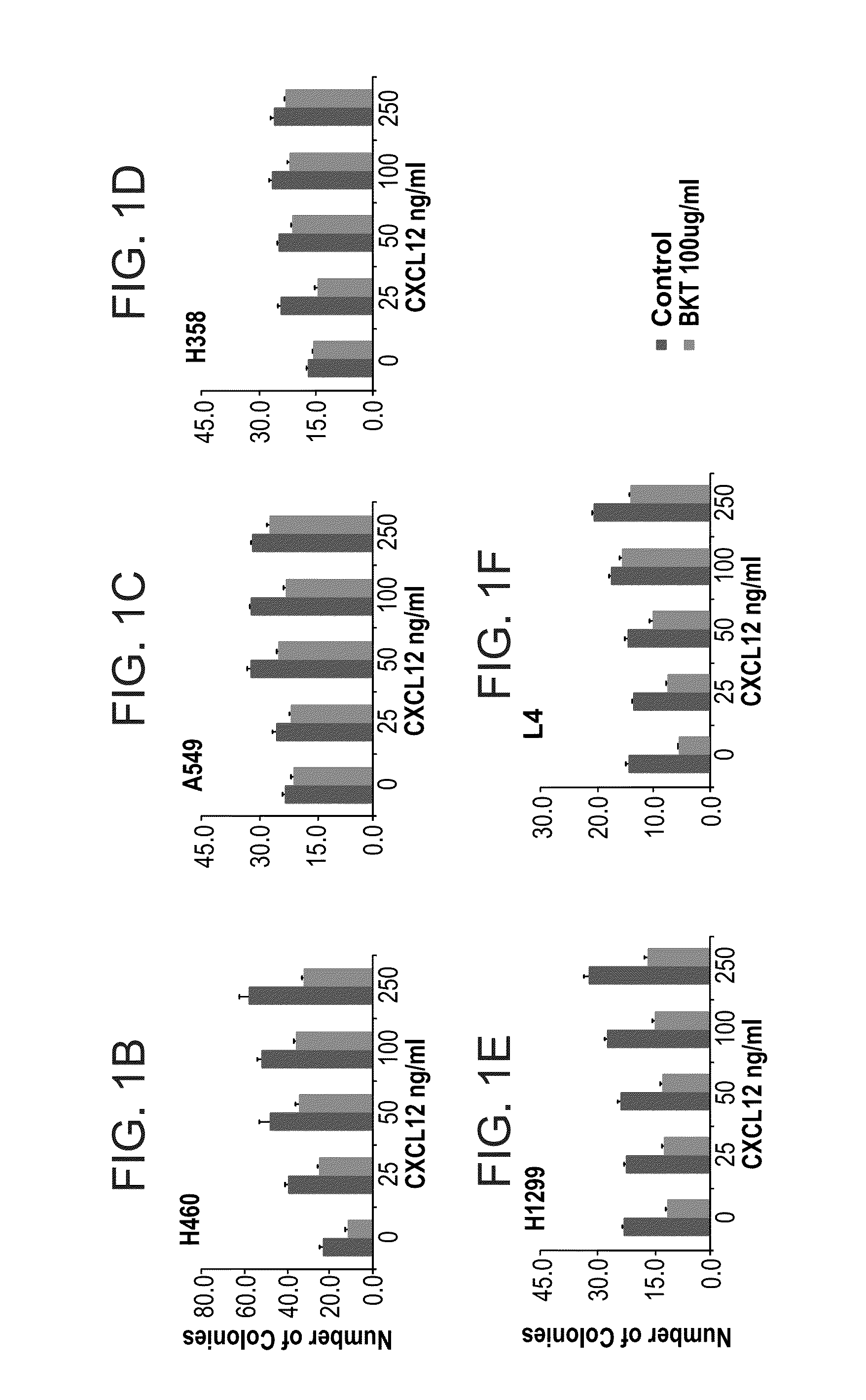 Peptides and use thereof in the treatment of large cell lung cancer