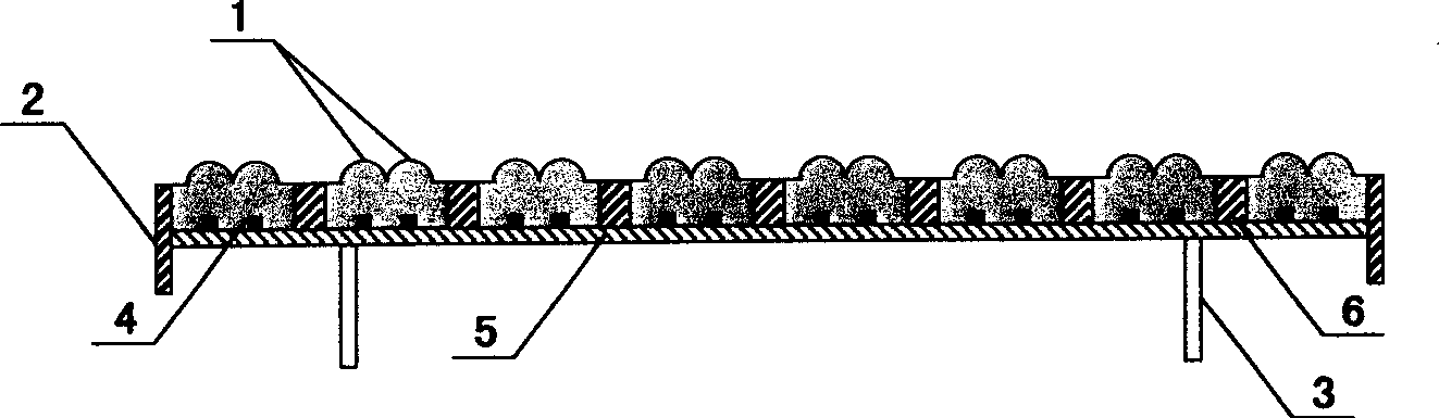 Lens combination converged LED array display