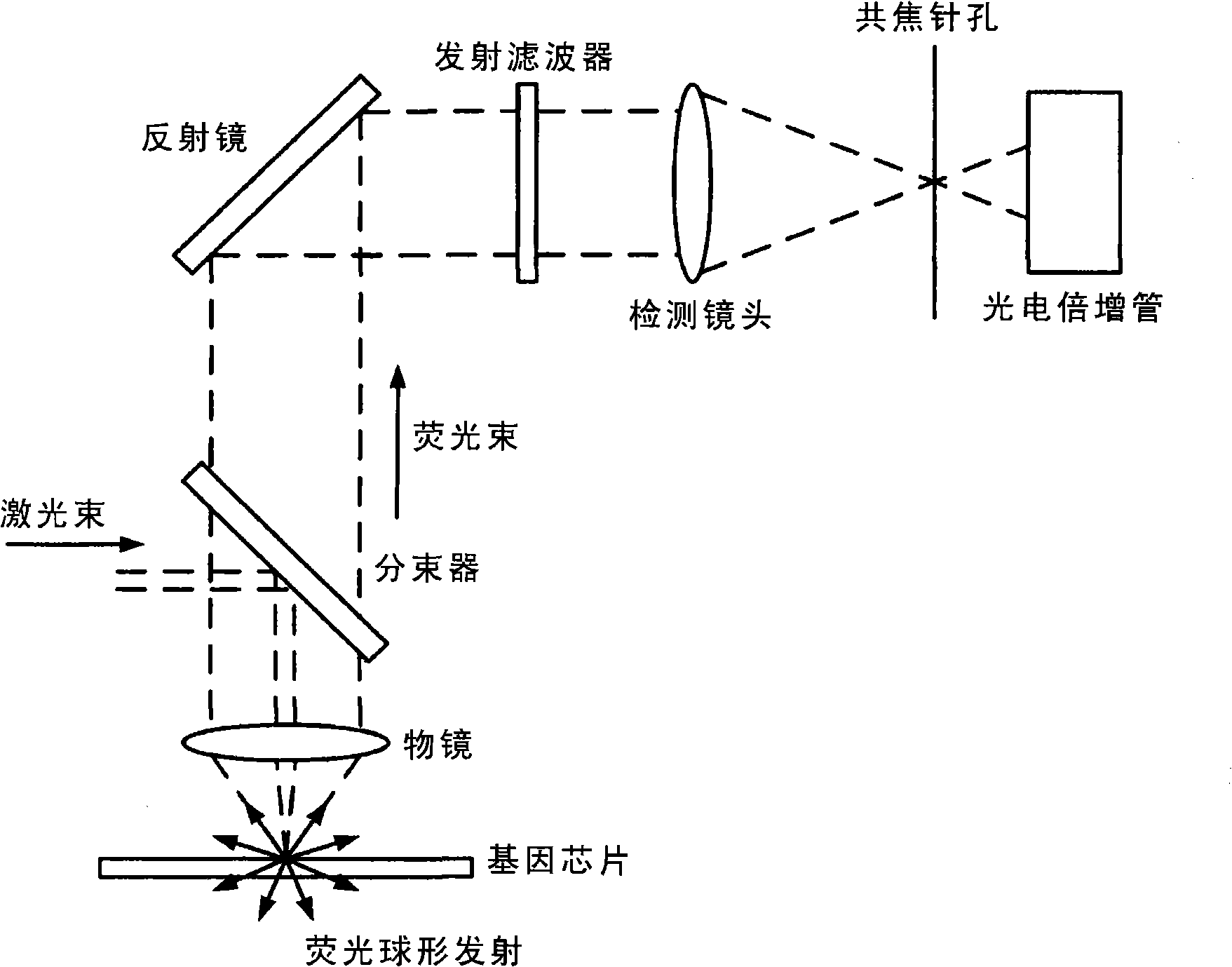 Biochip, method for making same, and apparatus applying the biochip