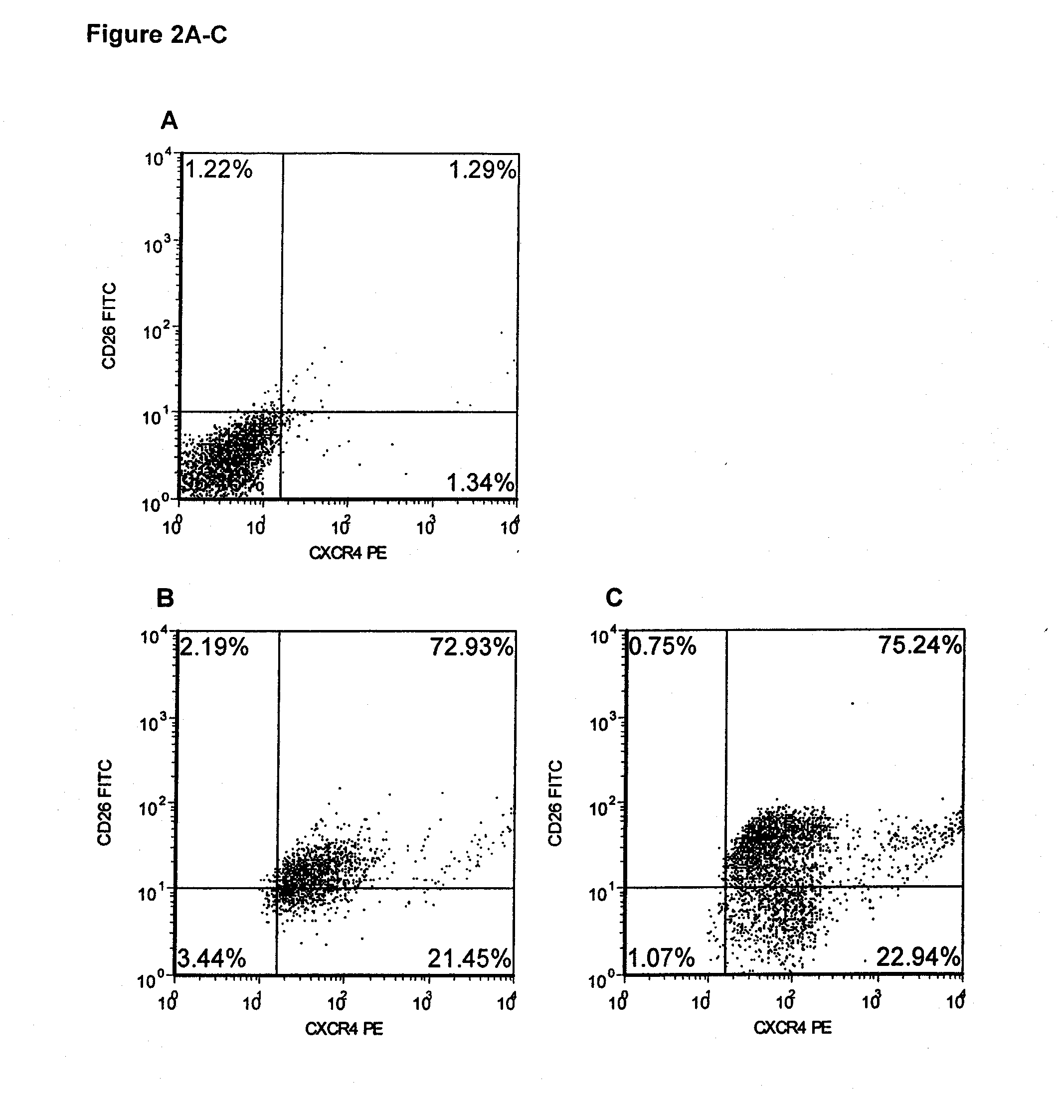 Methods for Enhancing Stem Cell Engraftment During Transplantation