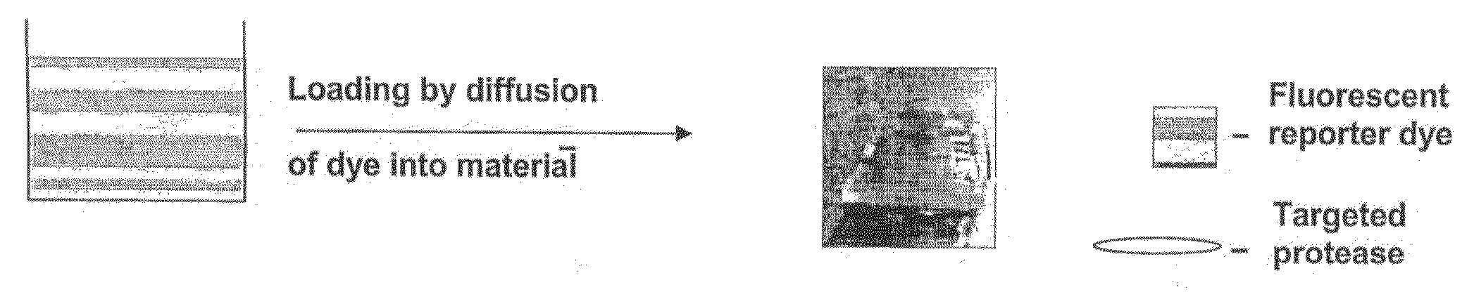 Method of Enhancing a Fluorescent Signal