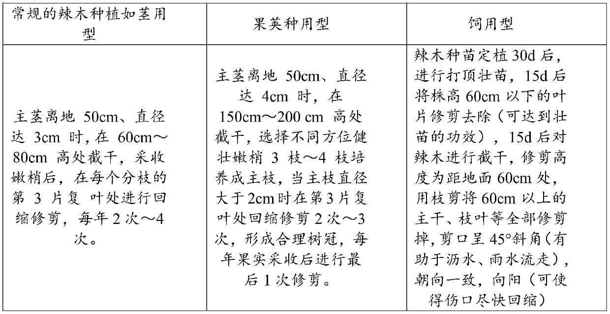 Forage type horseradish tree planting method