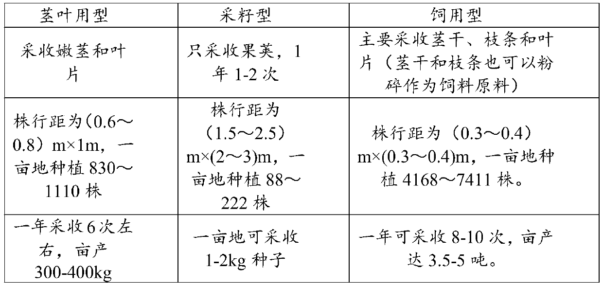 Forage type horseradish tree planting method