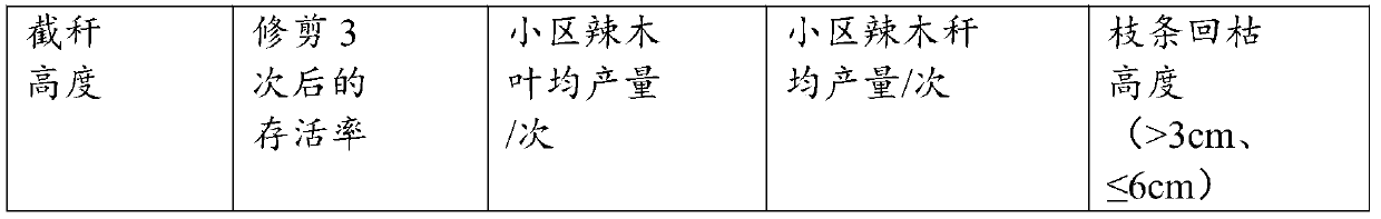 Forage type horseradish tree planting method