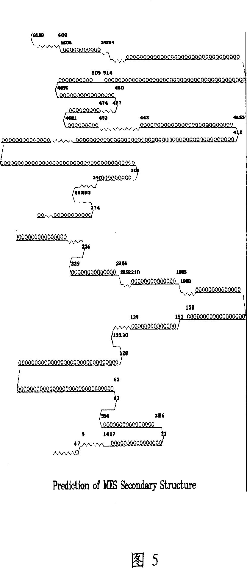 Method of preparing monoclonal antibody against human soluble mesothelin related protein