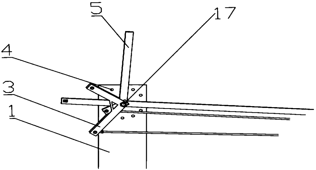 Auxiliary artificial fruit picker