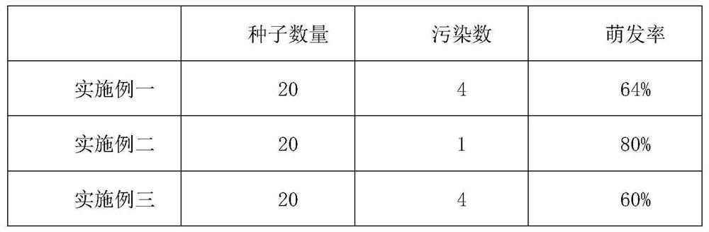 Treatment method for increasing germination rate of tilia miqueliana seeds