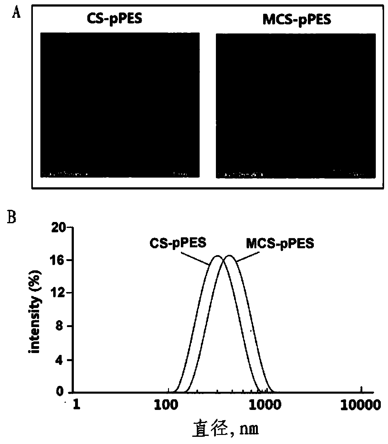 Tuberculosis mucosal gene vaccine assembled with mannosylated chitosan delivery system