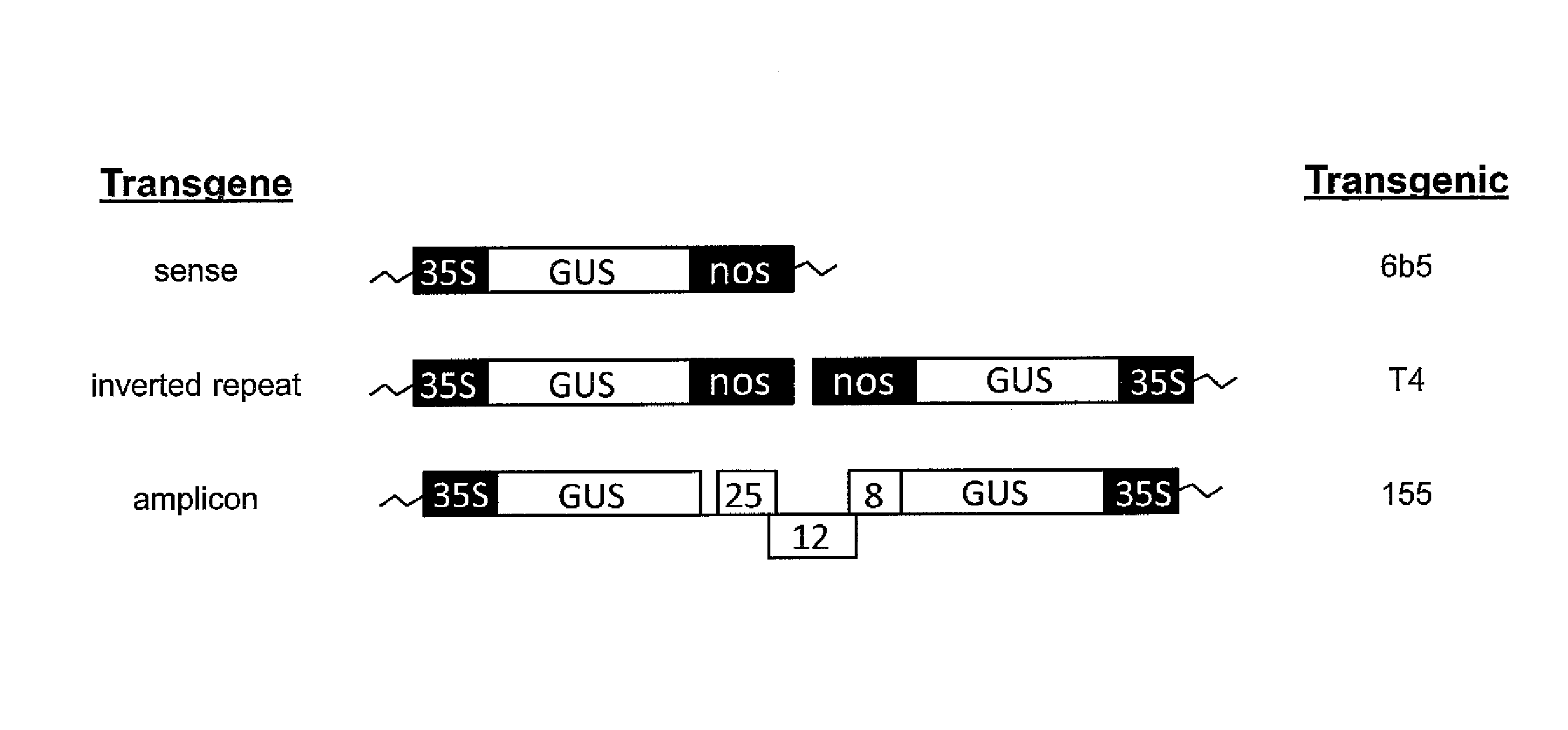 Compositions and Methods for the Modulation of Gene Expression in Plants