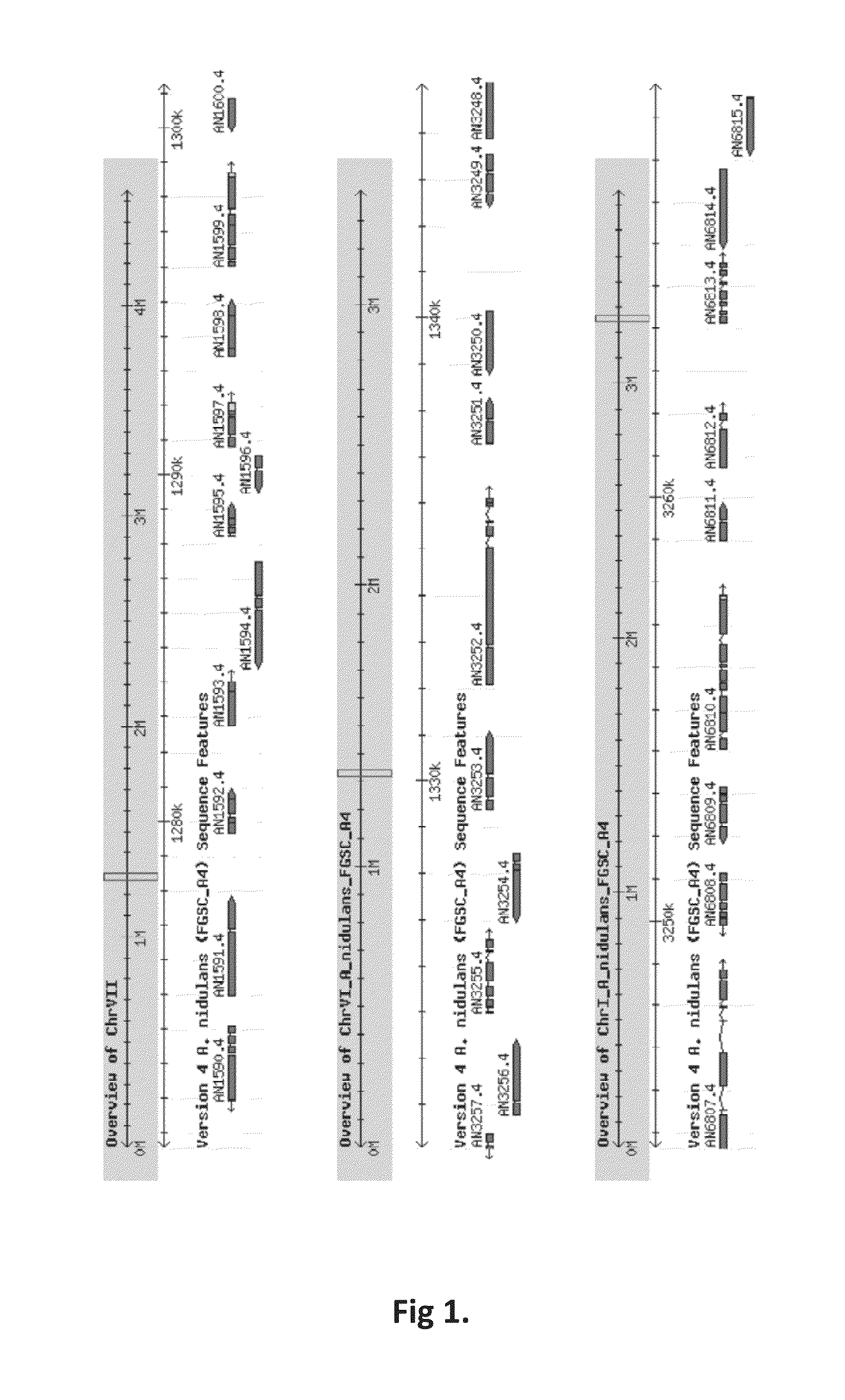 Method for producing terpenes