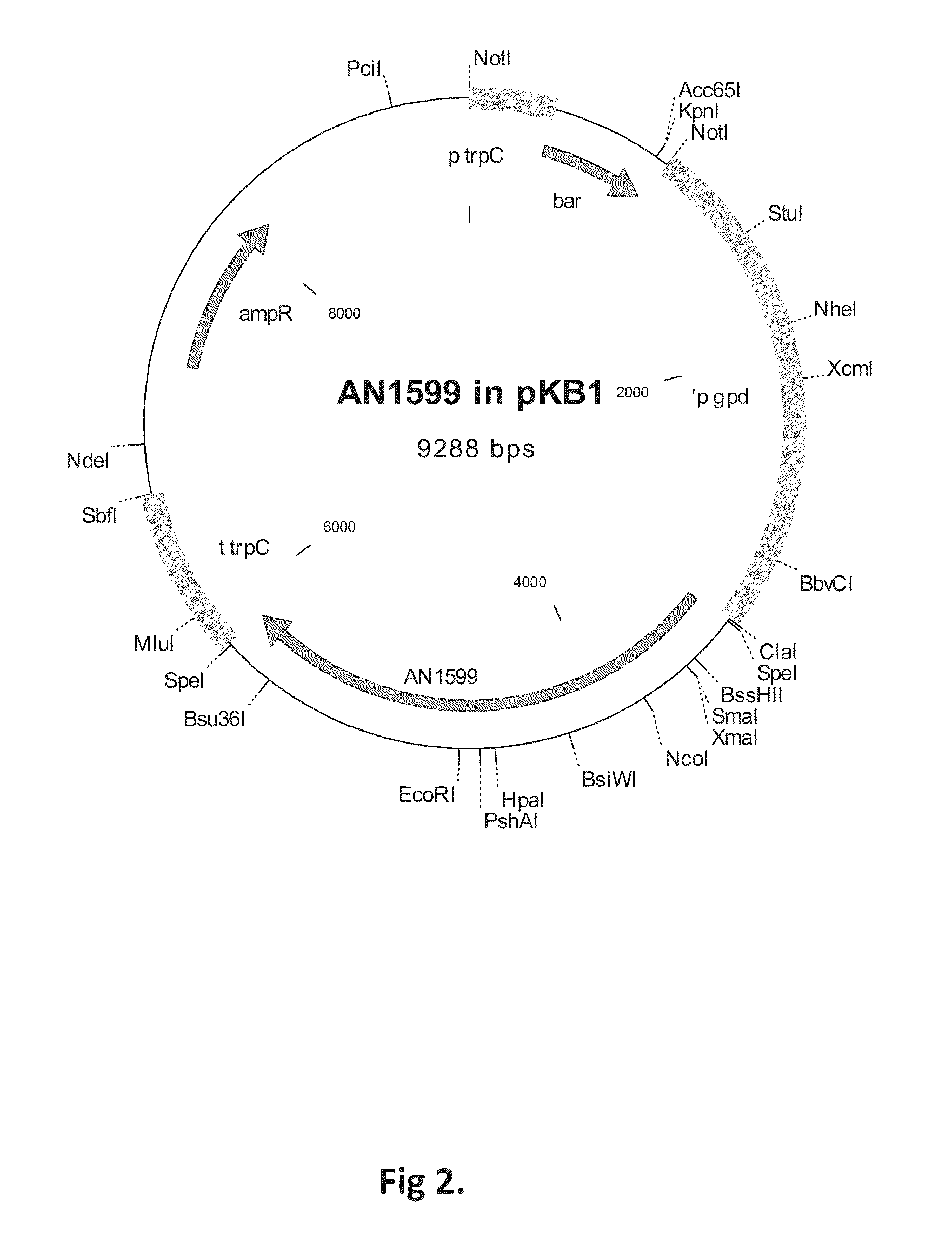 Method for producing terpenes