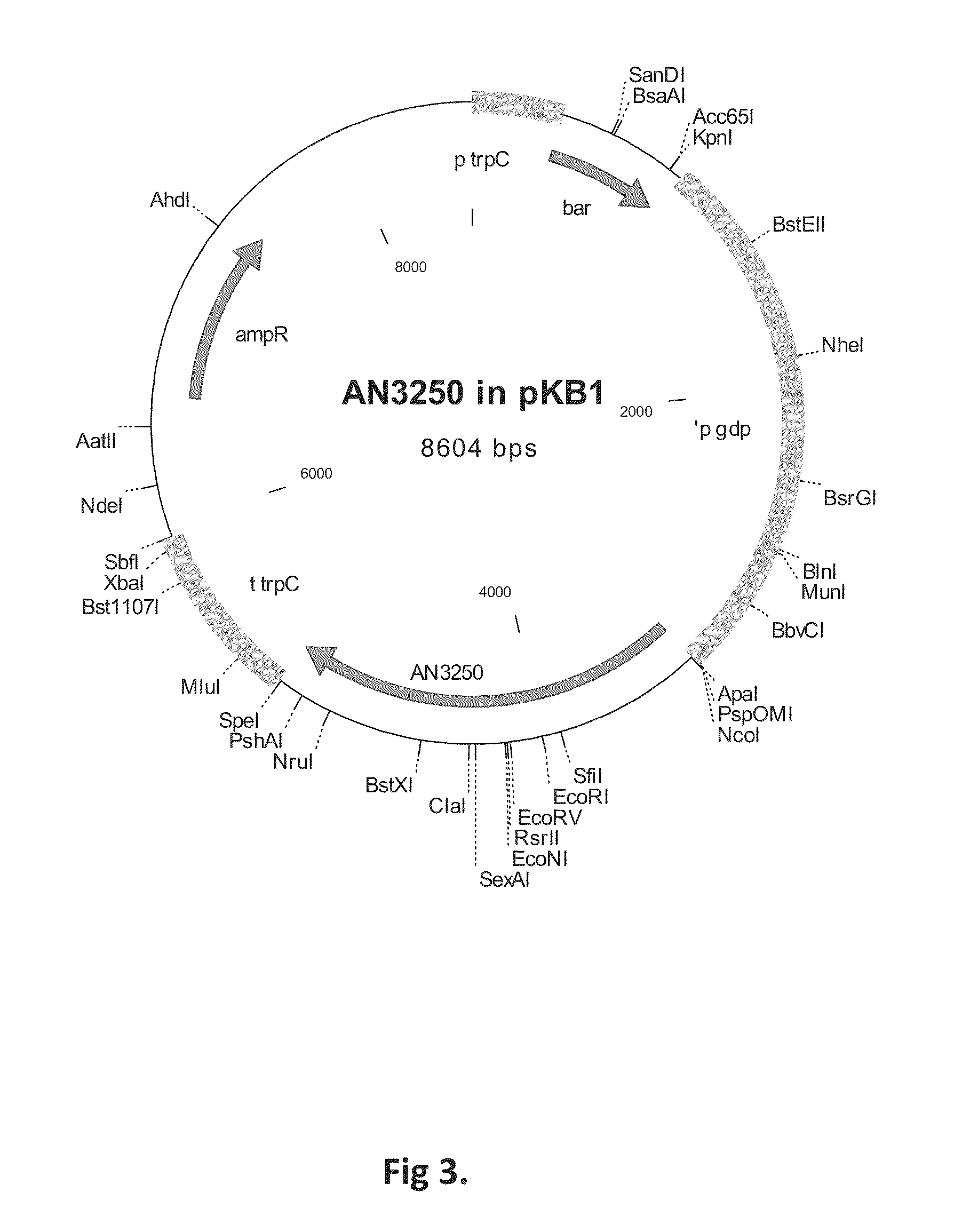 Method for producing terpenes