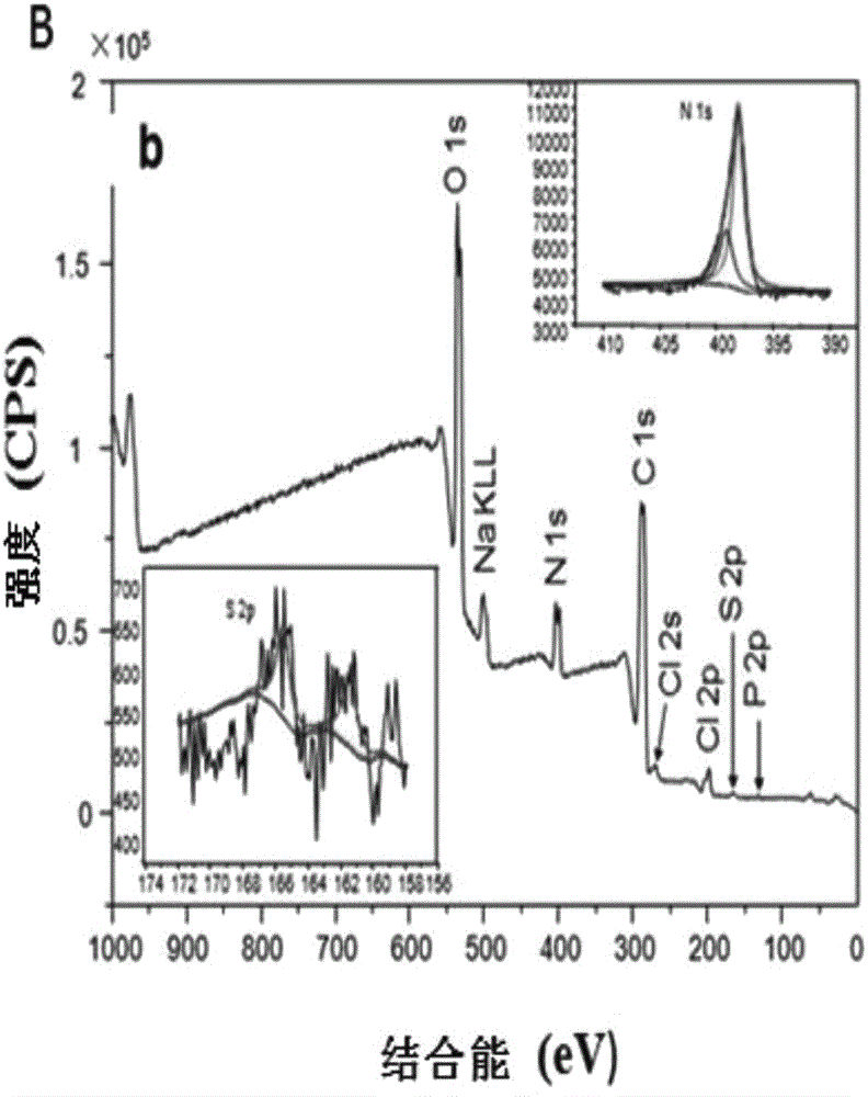 Preparation method of chitosan-silk fibroin composite nanofiber multifunctional patch for promoting myocardial tissue regeneration and stem cell monitoring