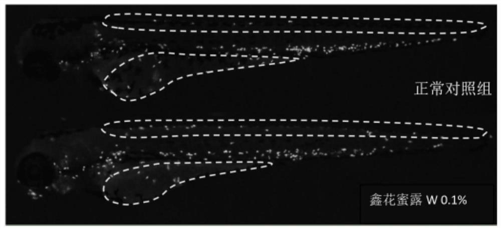 Preparation method of compound flower extract with multiple skin care effects