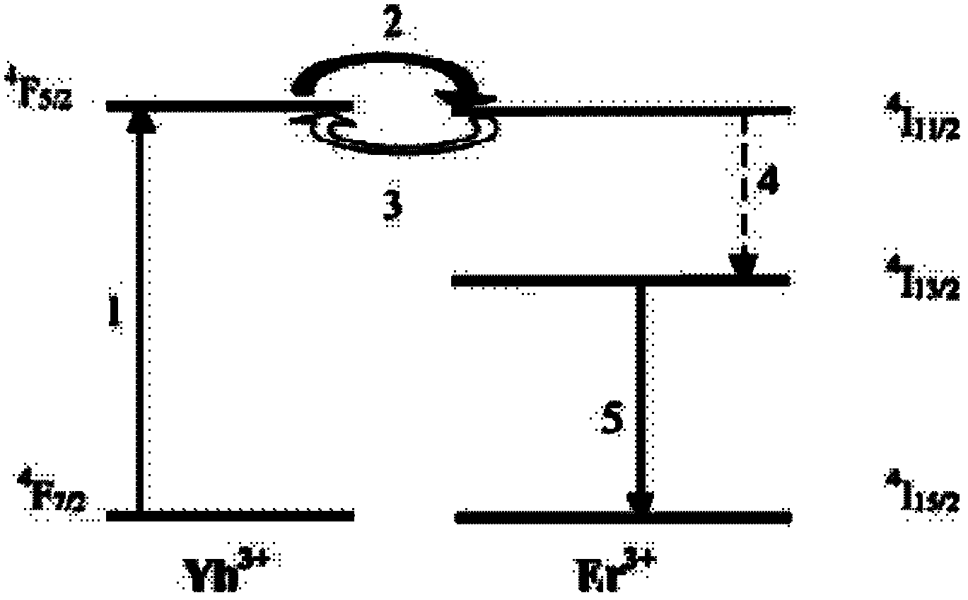 Ytterbium and erbium-doped yttrium scandium gallium garnet crystal and preparation method thereof