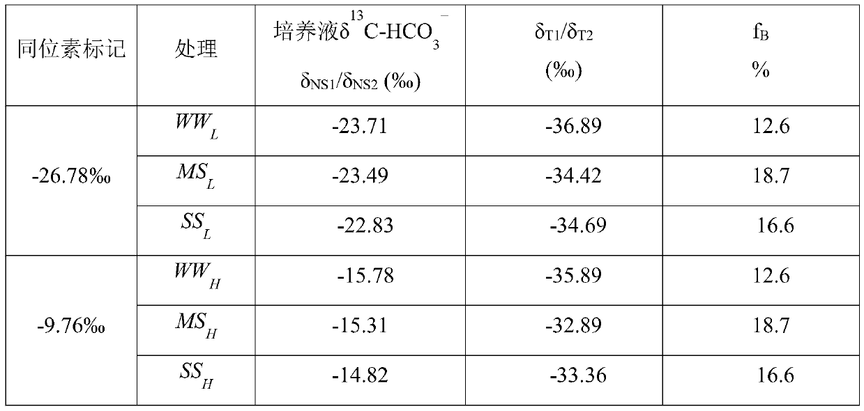 A method for determining the share of metabolized water utilization and actual water demand of indoor plants