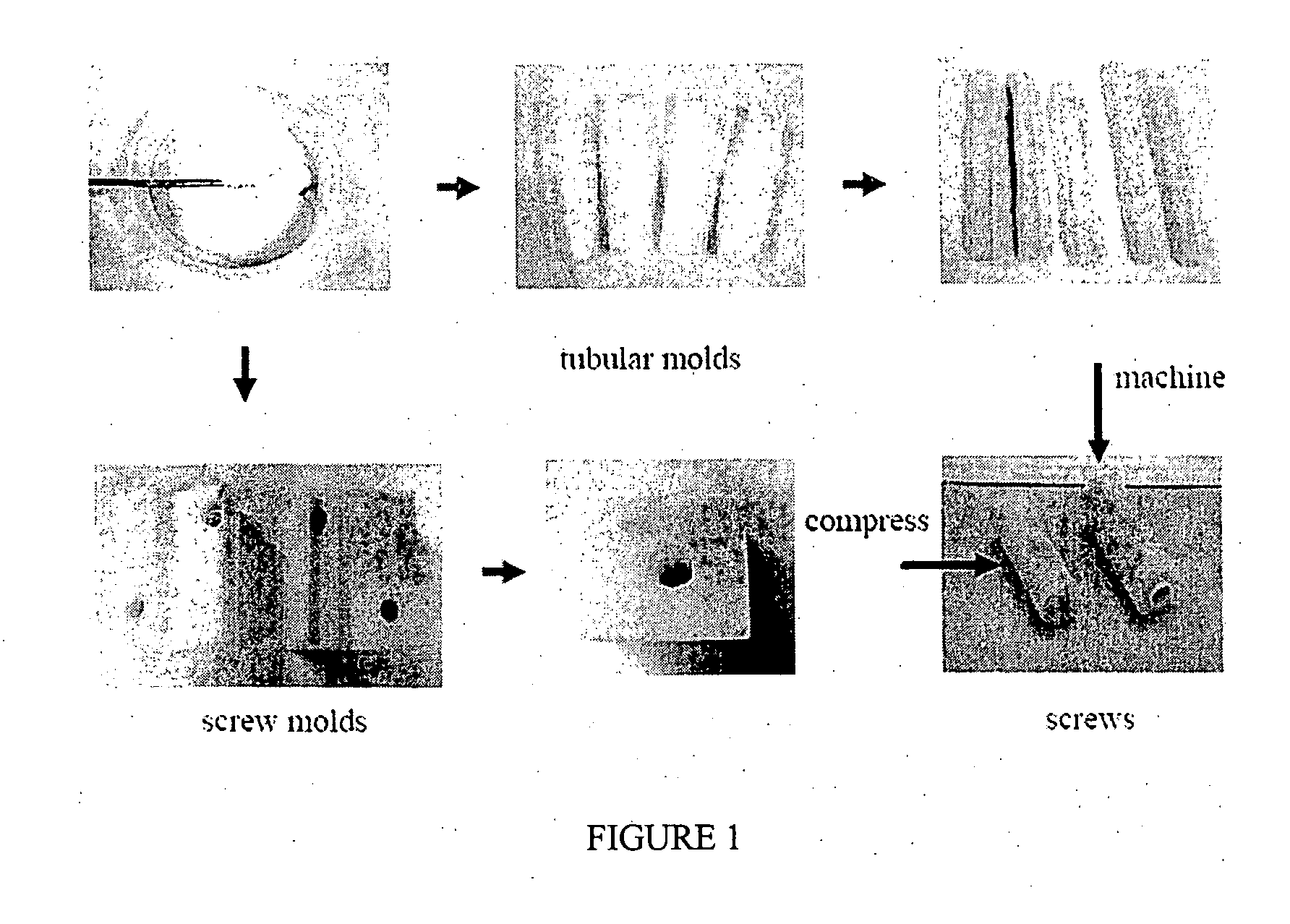 Poly (diol co-citrate) hydroxyapatite composite for tissue engineering and orthopaedic fixation devices