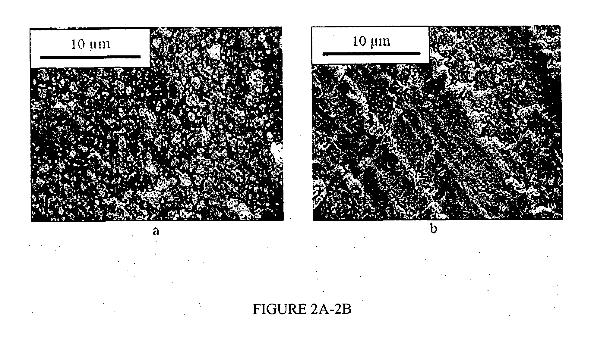 Poly (diol co-citrate) hydroxyapatite composite for tissue engineering and orthopaedic fixation devices