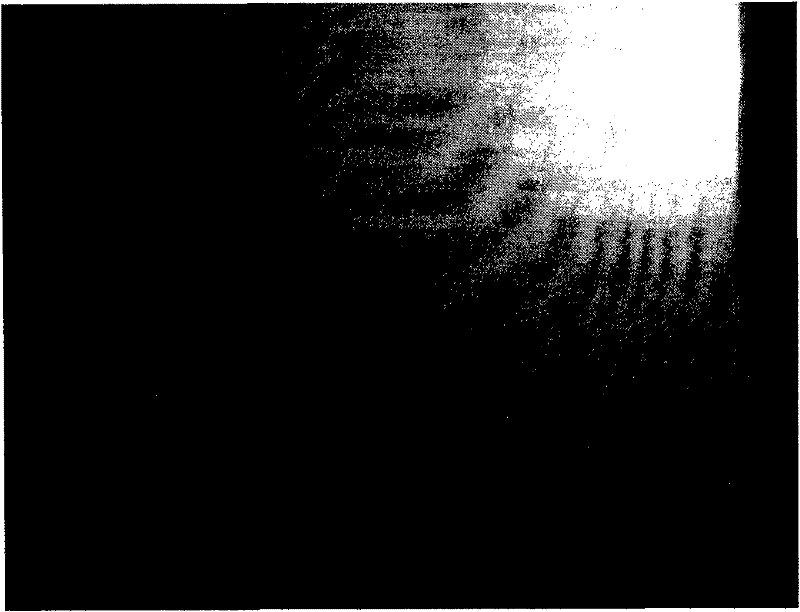 Method for eliminating edge fault of aluminium killed steel with low manganese-sulfur ratio and low carbon