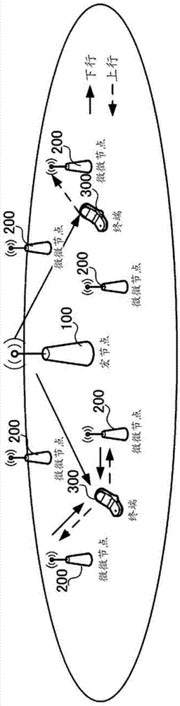 Wireless communication terminal device, wireless communication base station device and wireless communication method