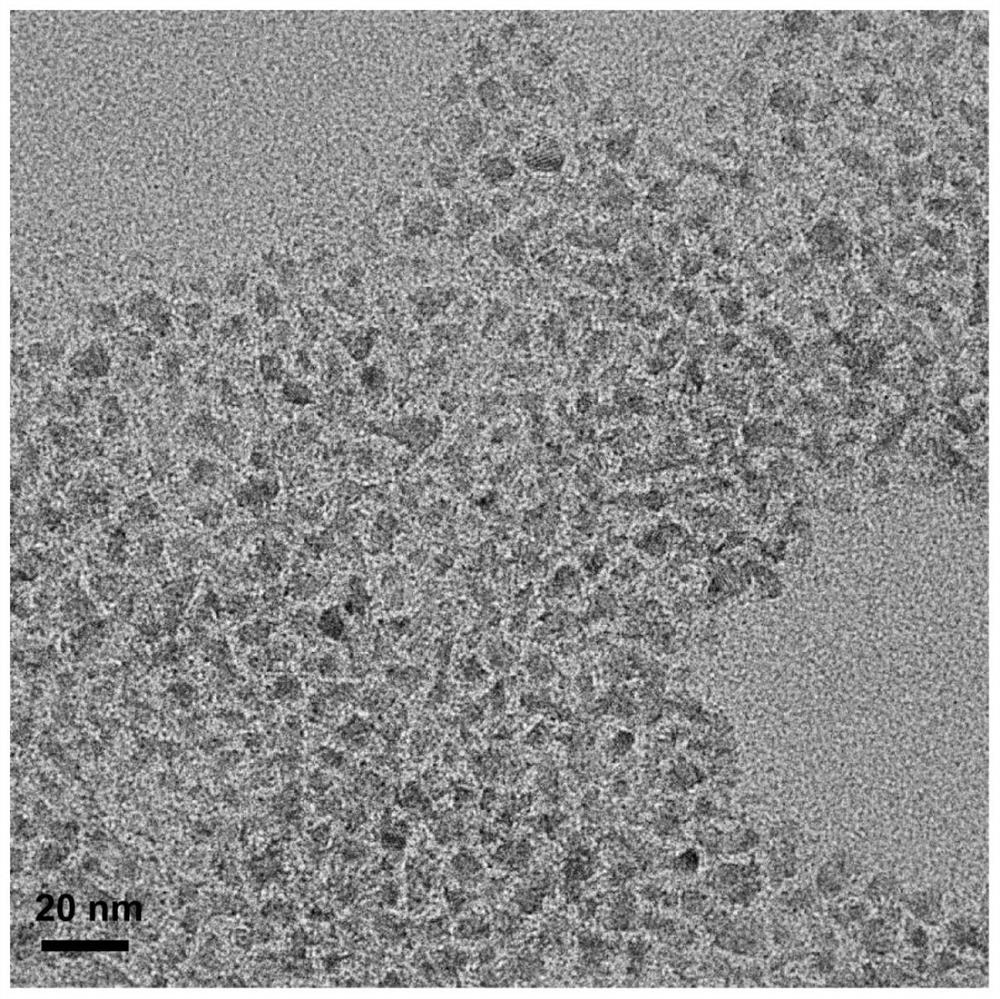 Fluorescent quantum dot nanoprobe, preparation method thereof and application of fluorescent quantum dot nanoprobe in detection of circulating tumor cells