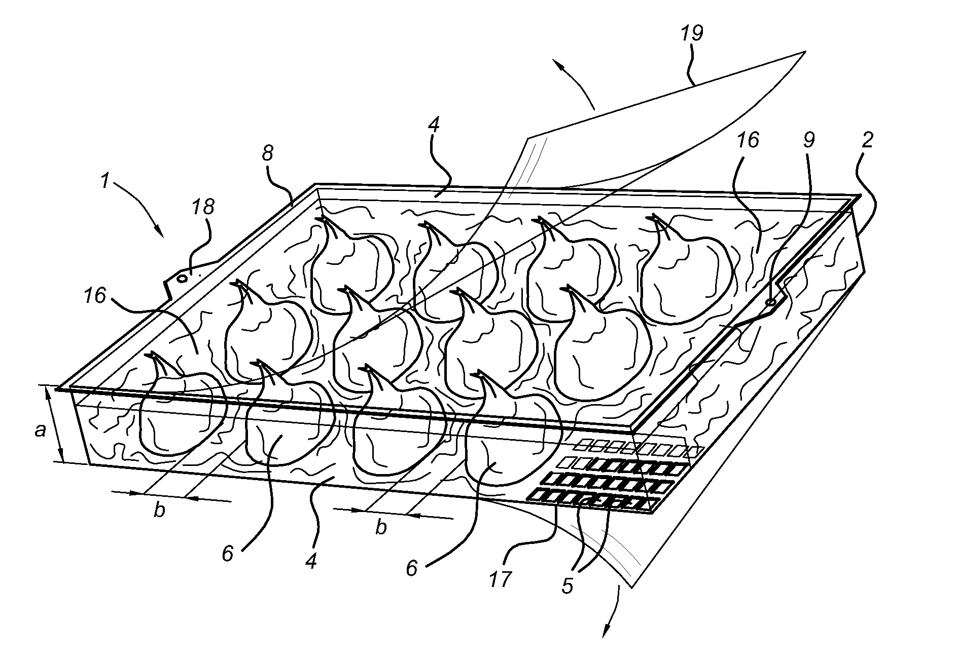 Assembly of a package and plant bulbs arranged therein, and a method for cultivating plant bulbs