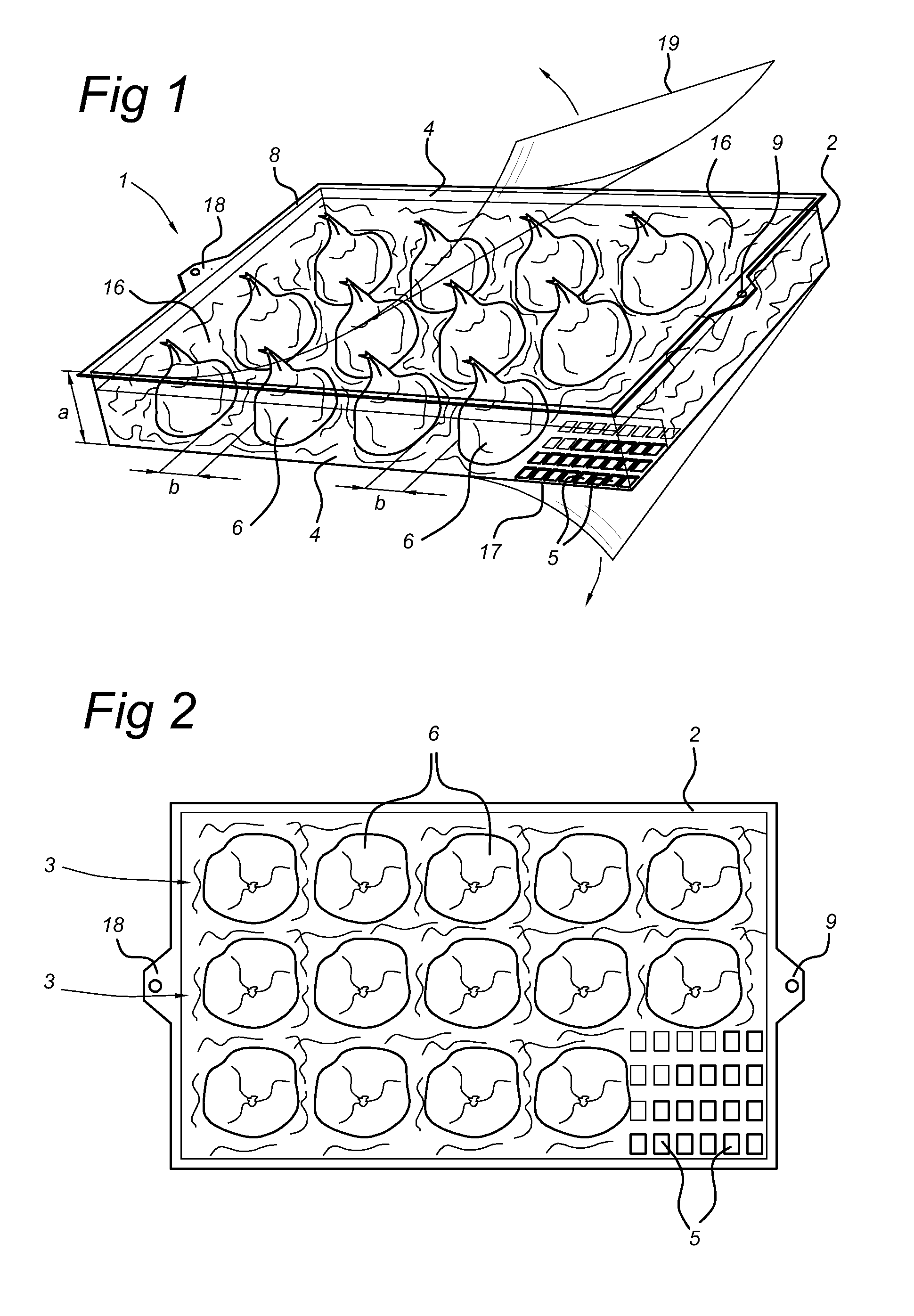 Assembly of a package and plant bulbs arranged therein, and a method for cultivating plant bulbs