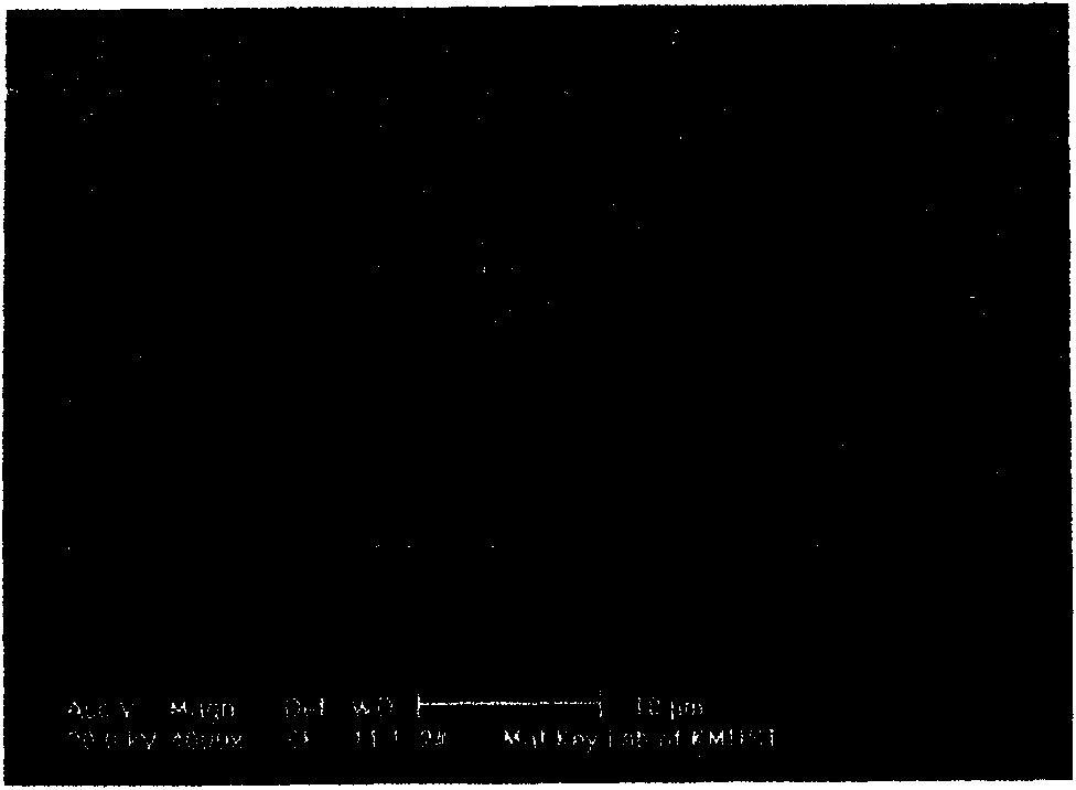 Electrode materials of composite rare-earth iridium alloy and sparking plug of using the electrode materials