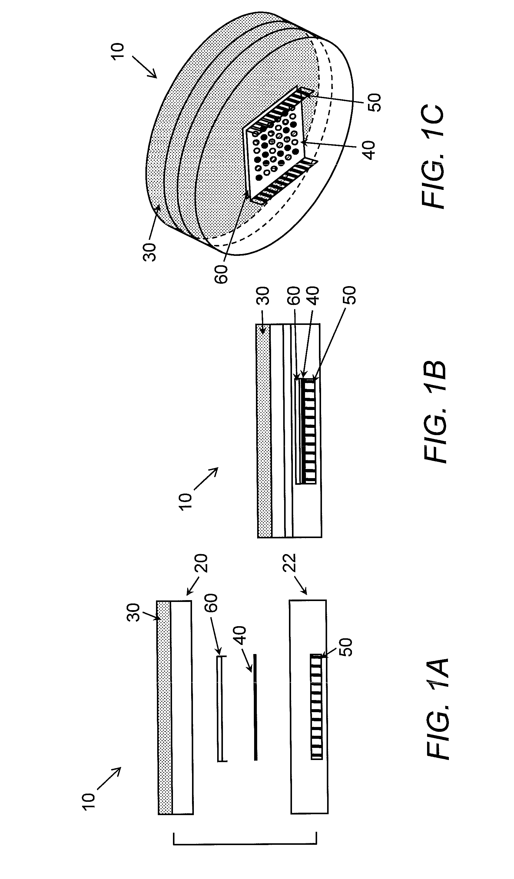 Apparatus and method for detecting and identifying microorganisms