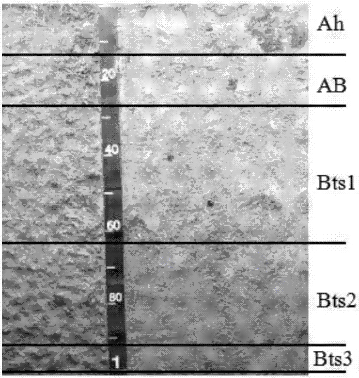 A Method for Estimating Soil Organic Carbon Storage Based on Soil Genetic Layer Thickness Prediction