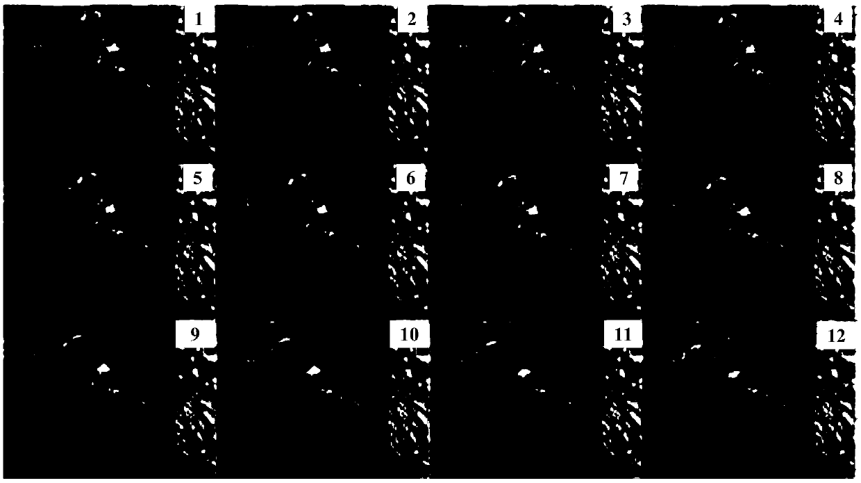 A bird pecking motion research method based on a body section model