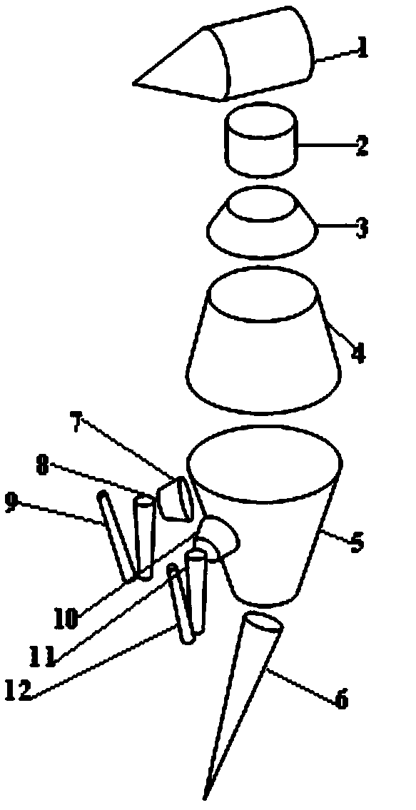 A bird pecking motion research method based on a body section model