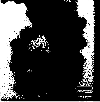 Method for preparing nanometer titanium dioxide