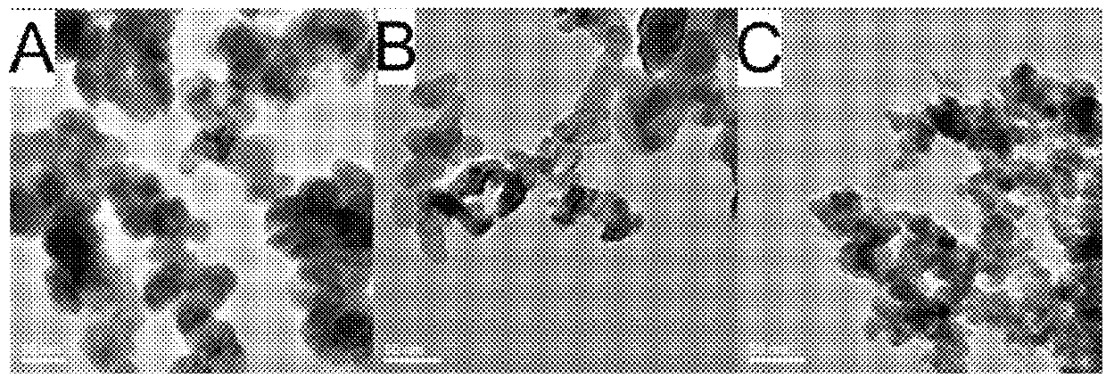 Sb nanocrystals or Sb-alloy nanocrystals for fast charge/discharge Li- and Na-ion battery anodes