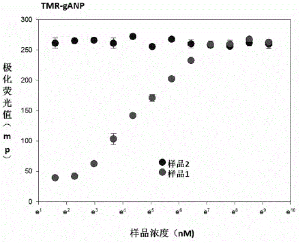 Adiponectin receptor ligand screening method and adiponectin receptor agonist screening method