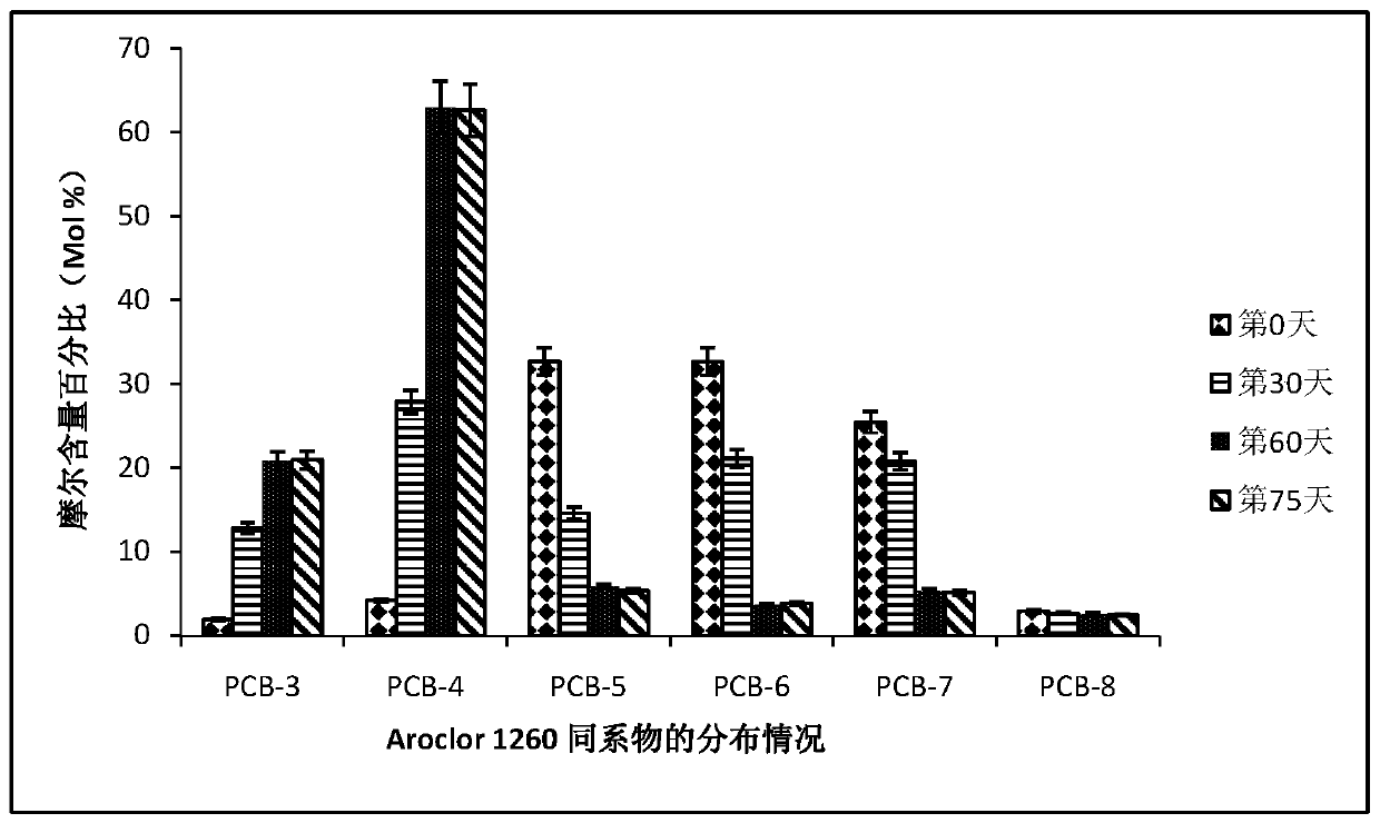 A biochar formulation for mediating anaerobic reductive dechlorination of polychlorinated biphenyls