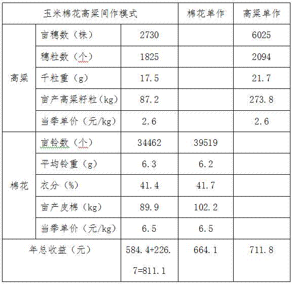 Yellow River delta heavy chloride saline soil maize-cotton-sorghum intercropping efficient planting manner