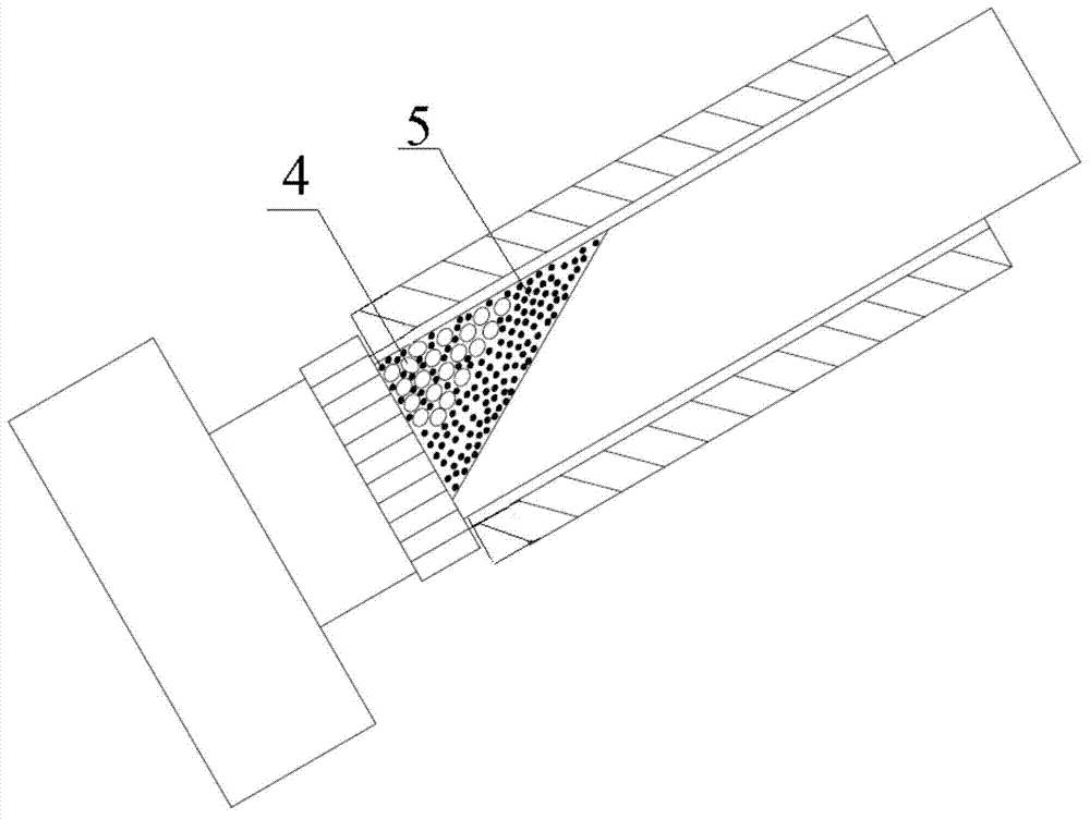 Detector for coagulation function of whole blood and detection method