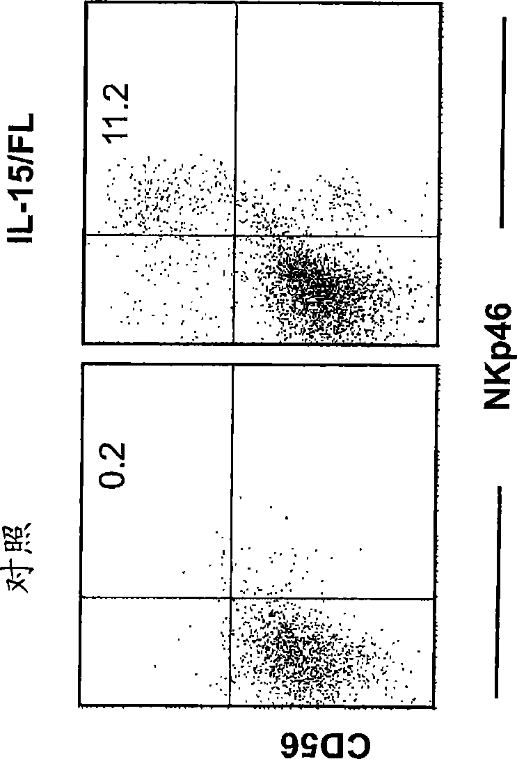 Methods of producing humanized non-human mammals