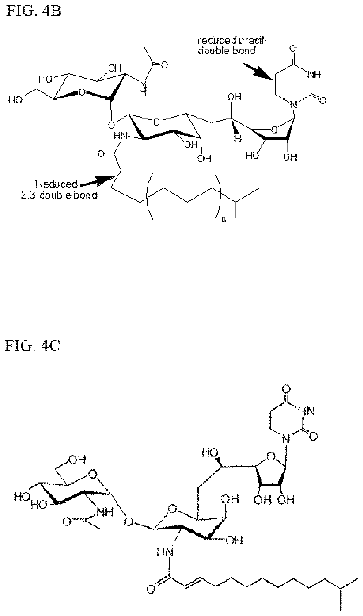 Tunicamycin related compounds with anti-bacterial activity