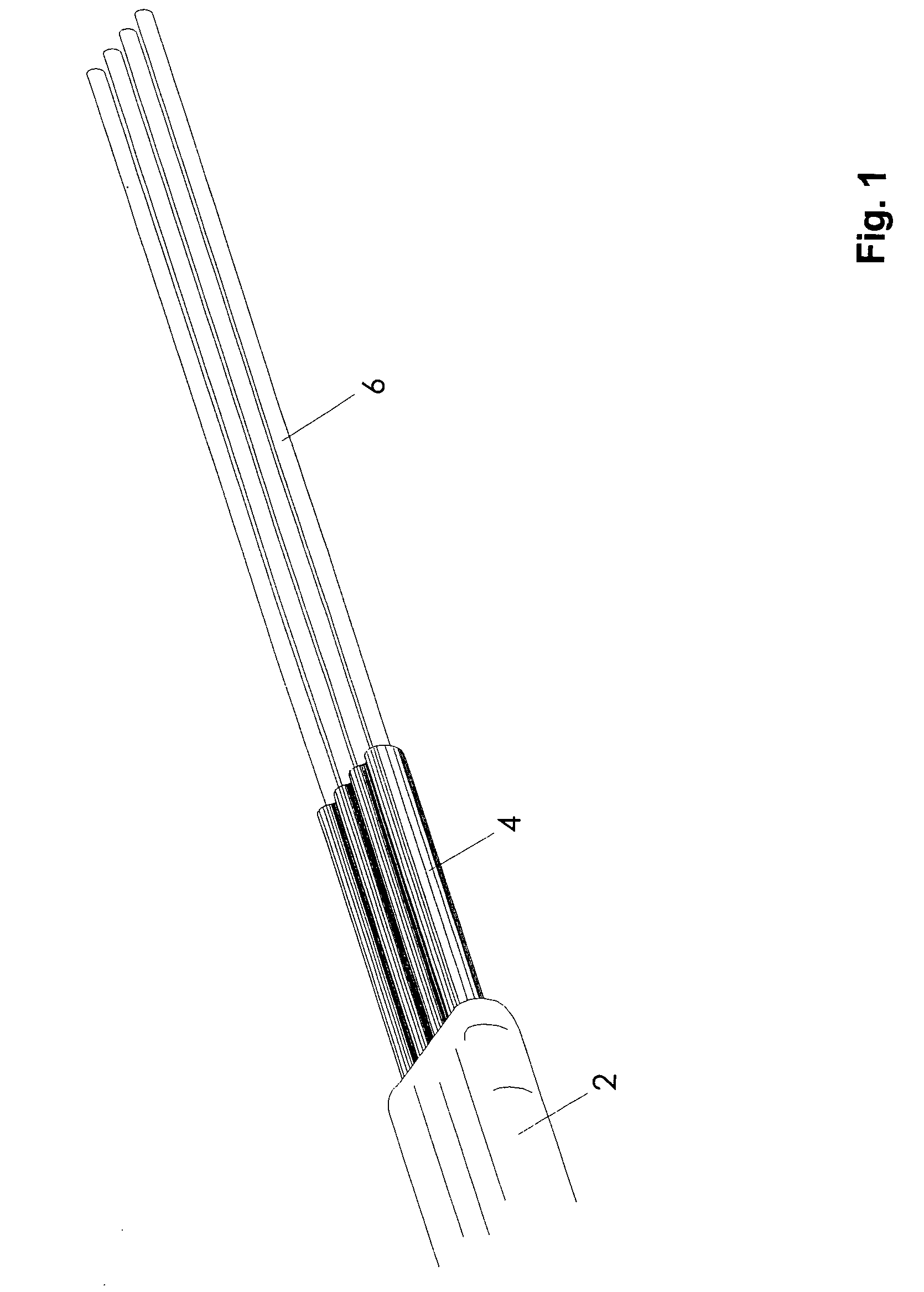 Optical ferrule