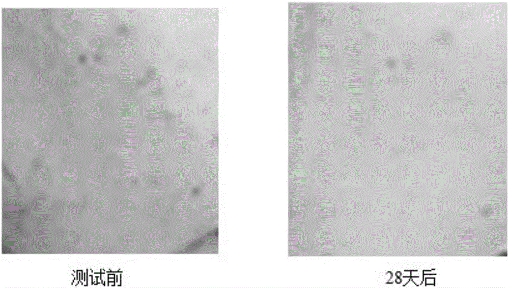 Skincare composition containing emu oil and preparation method of skincare composition