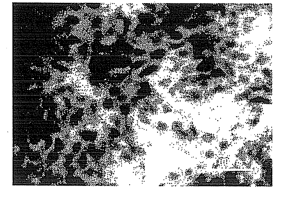 Olefin polymer, composition thereof and adhesive resin comprising the composition