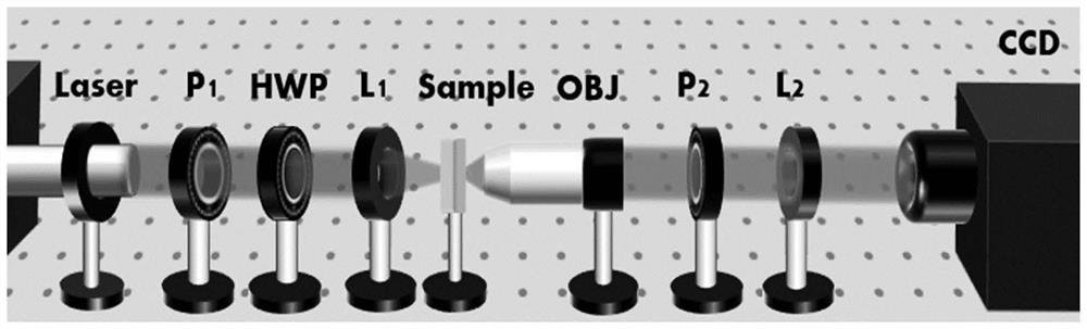 Method for realizing dynamic adjustable metasurface based on vector holographic technology