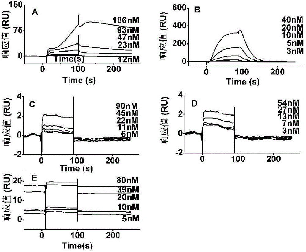 High-sulfating chondroitin sulfate (CS) and preparing method and application thereof